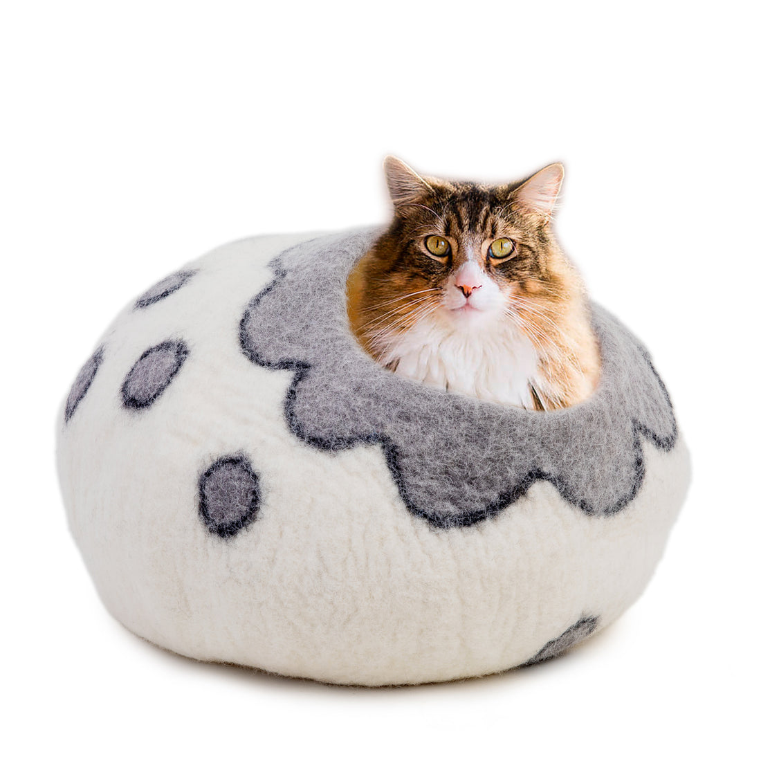 Which-Cat-Cave-is-Best-for-Cats Woolygon