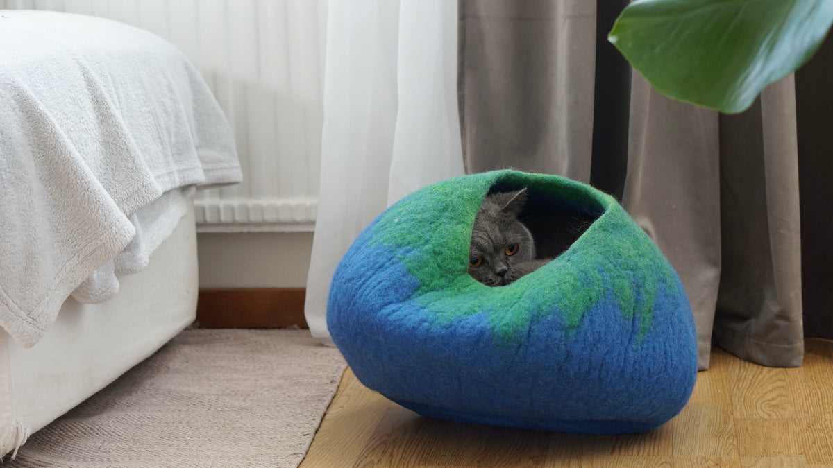Grey cat peeking out of blue green ombre wool cat cave in a living room - handmade merino felt cat bed
